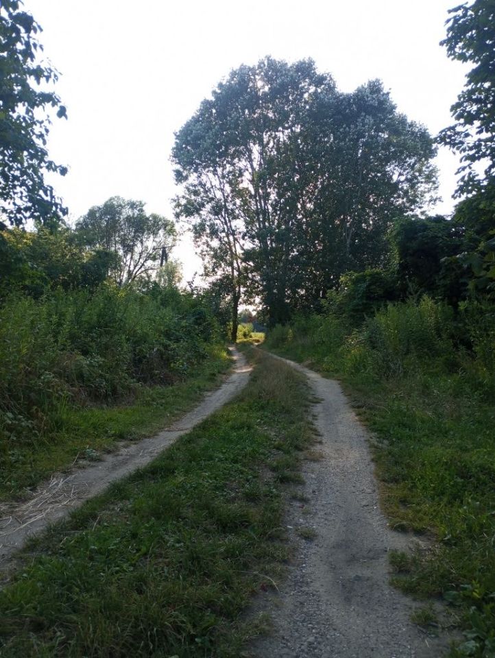 Działka rolna Puławy Włostowice, ul. Polskiej Organizacji Wojskowej. Zdjęcie 7