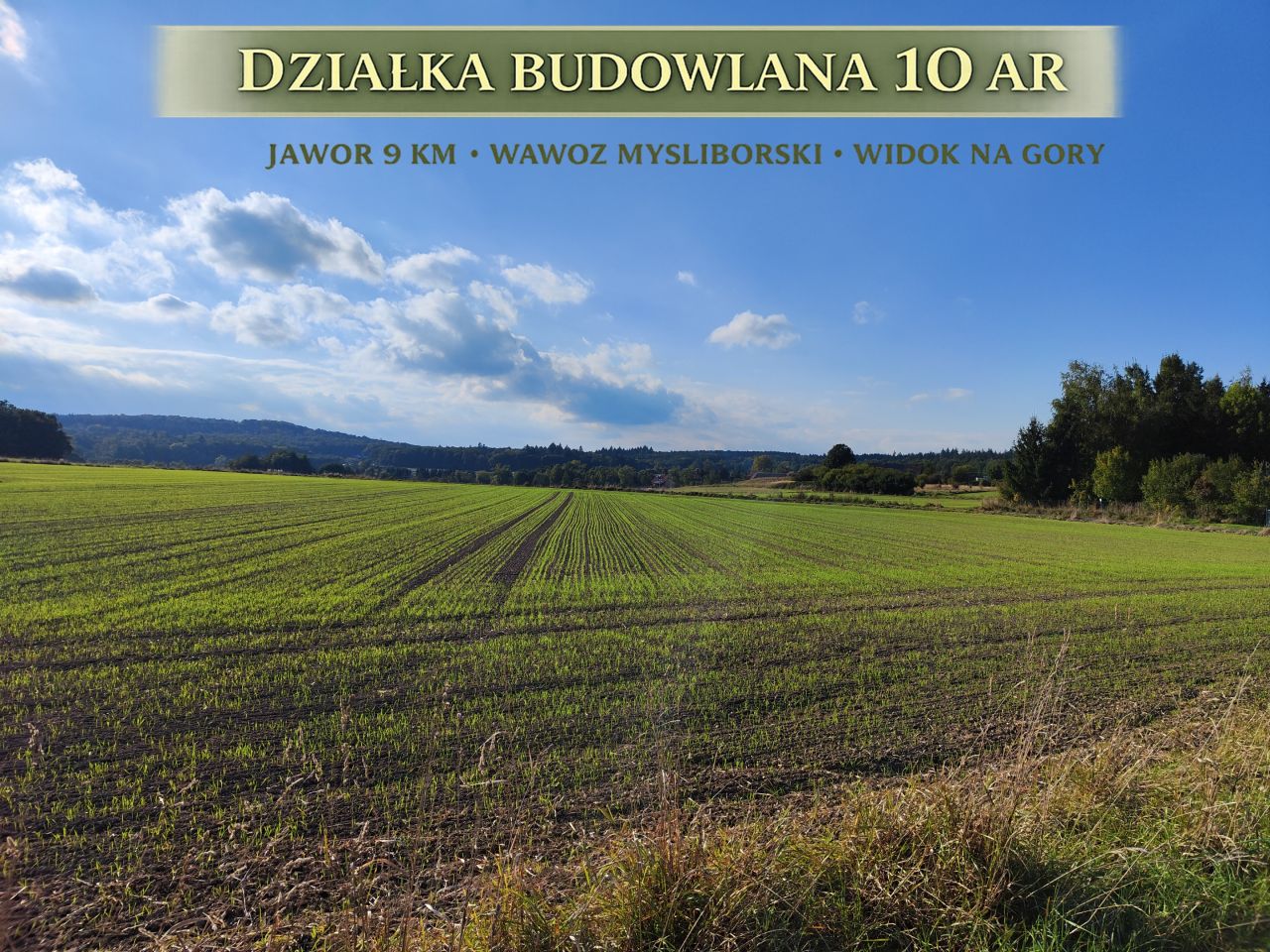Działka budowlana Myślinów