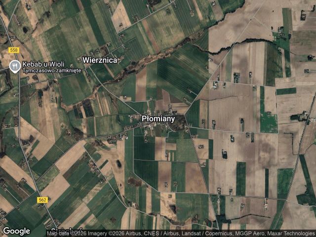 Działka rolno-budowlana Płomiany. Zdjęcie 1