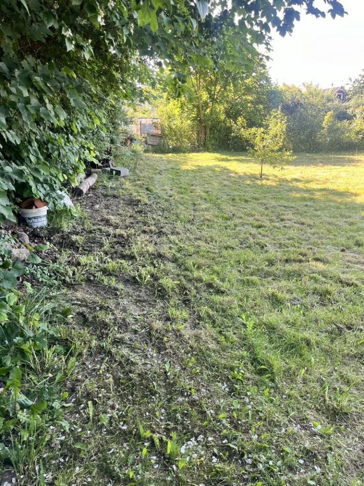 Działka rod Bierkowo. Zdjęcie 2