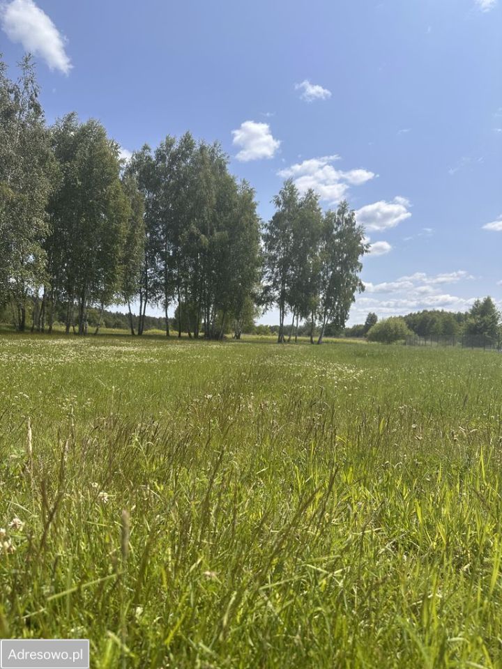 Działka budowlana Natolin. Zdjęcie 11