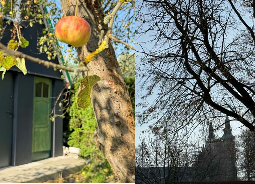 Działka rod Tarnobrzeg Nadole, ul. Wałowa. Zdjęcie 2