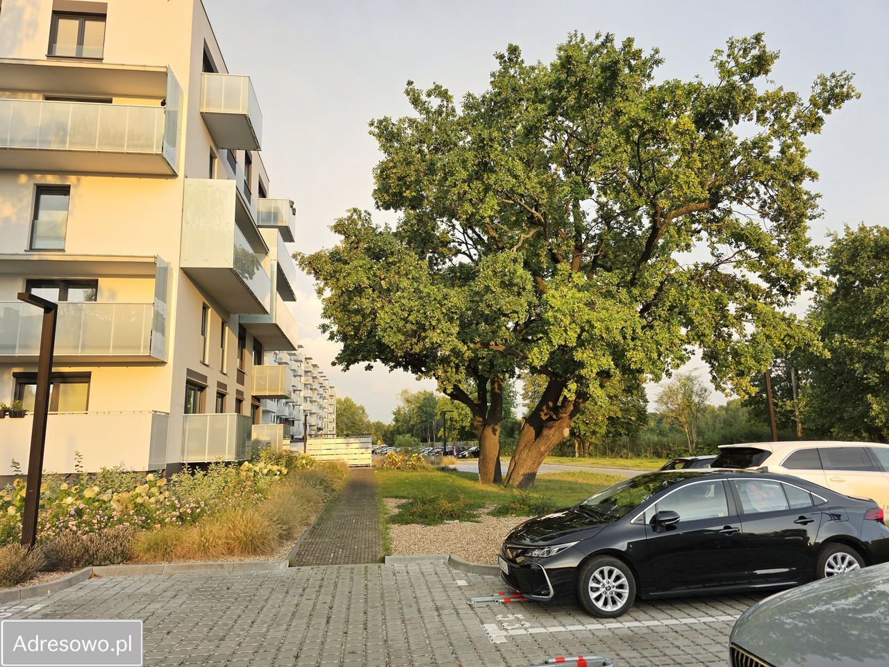 Mieszkanie 3-pokojowe Wrocław Psie Pole, ul. Adama Jerzego Czartoryskiego. Zdjęcie 16