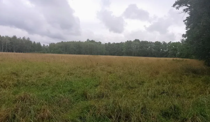 Działka budowlana Długopole Dolne