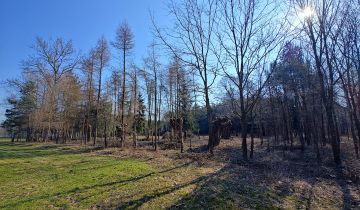 Działka siedliskowa Długie Grodzieckie Nad Jeziorem