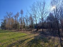 Działka siedliskowa Długie Grodzieckie Nad Jeziorem. Zdjęcie 1