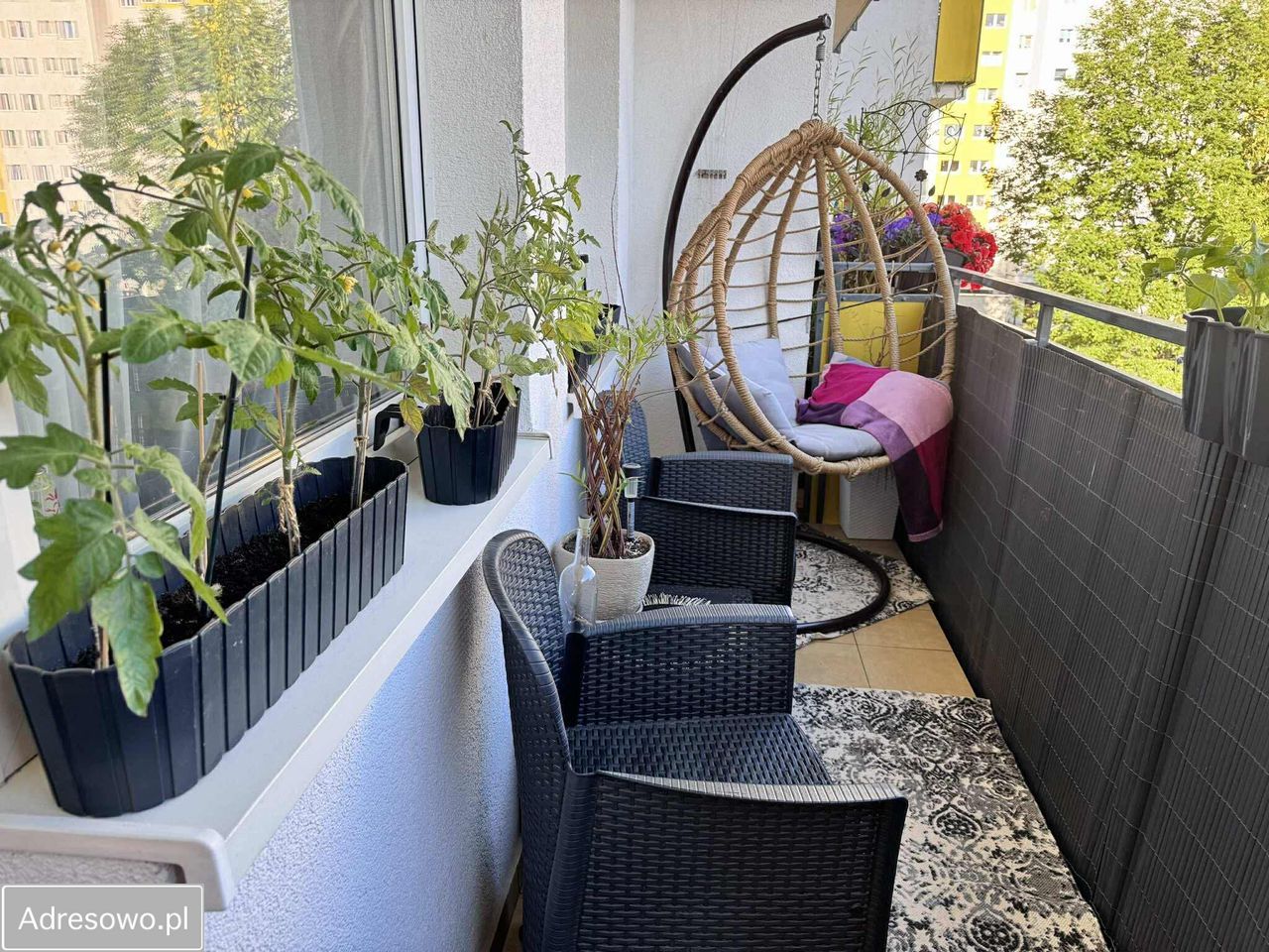 Mieszkanie 3-pokojowe Świnoujście Centrum, ul. Piastowska. Zdjęcie 9