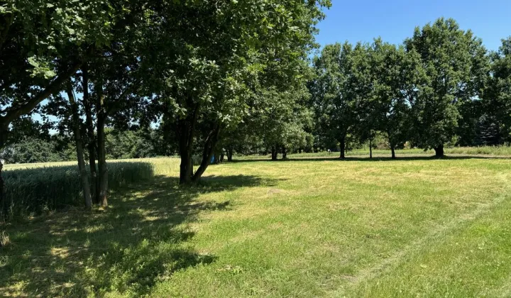 Działka rolna Wola Batorska