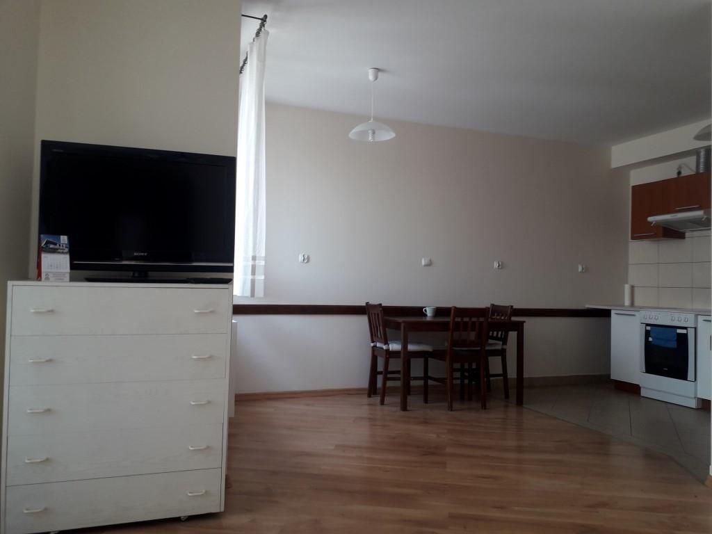 Mieszkanie 1-pokojowe Kraków Ludwinów, ul. Wierzbowa. Zdjęcie 9