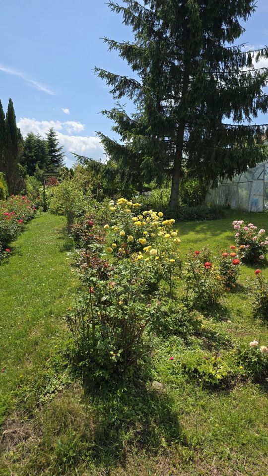 Działka rod Krosno. Zdjęcie 8