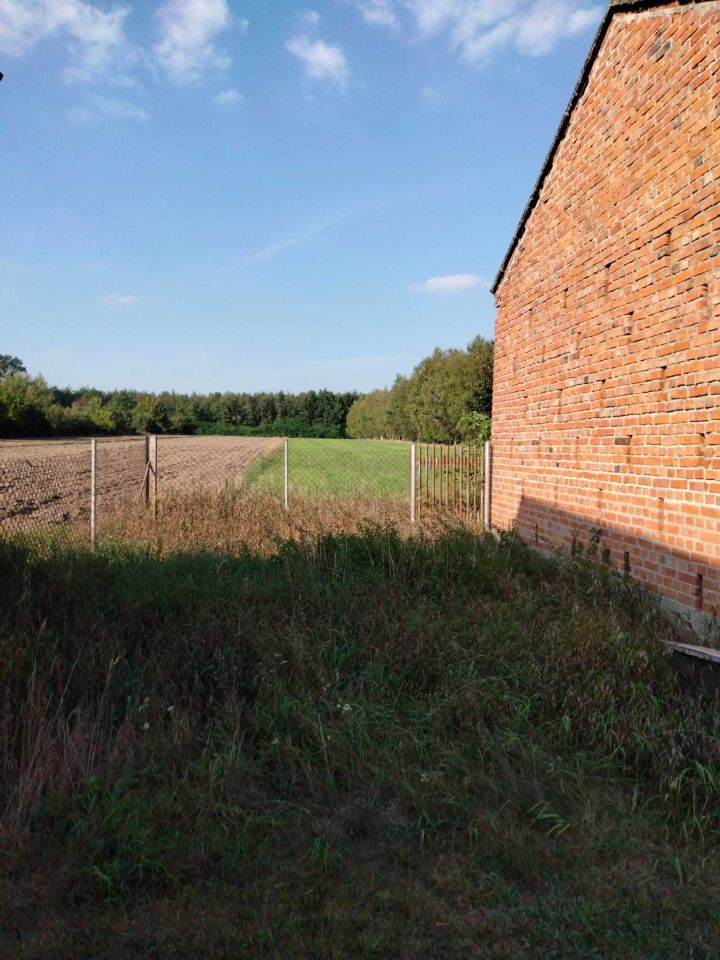 gospodarstwo, 3 pokoje Kondrajec Pański. Zdjęcie 6