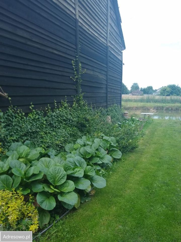 dom wolnostojący, 2 pokoje Siemianowo. Zdjęcie 20