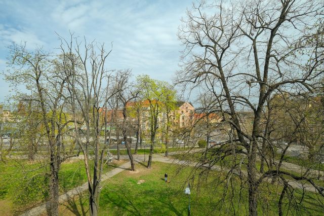 Mieszkanie 3-pokojowe Legnica Centrum, ul. Parkowa. Zdjęcie 17