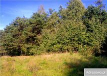 Działka rolno-budowlana Ostrówek. Zdjęcie 1