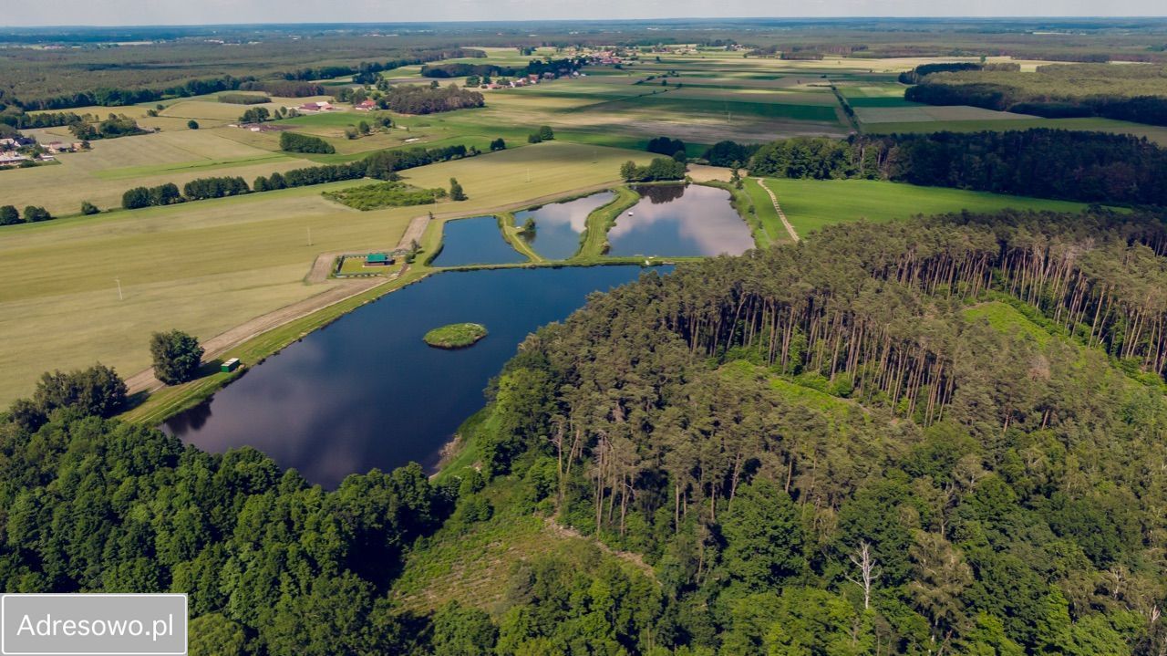 Działka rolno-budowlana Torzeniec. Zdjęcie 5