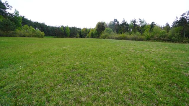 Działka rolna Kunkowa. Zdjęcie 5