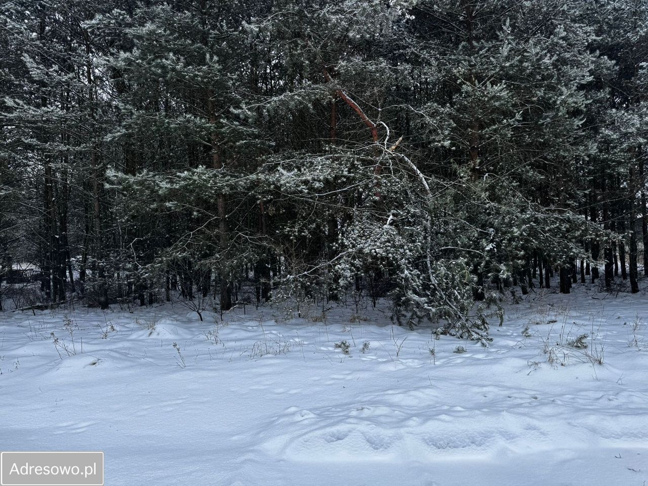 Działka budowlana Boruszowice, ul. Kaletańska. Zdjęcie 5