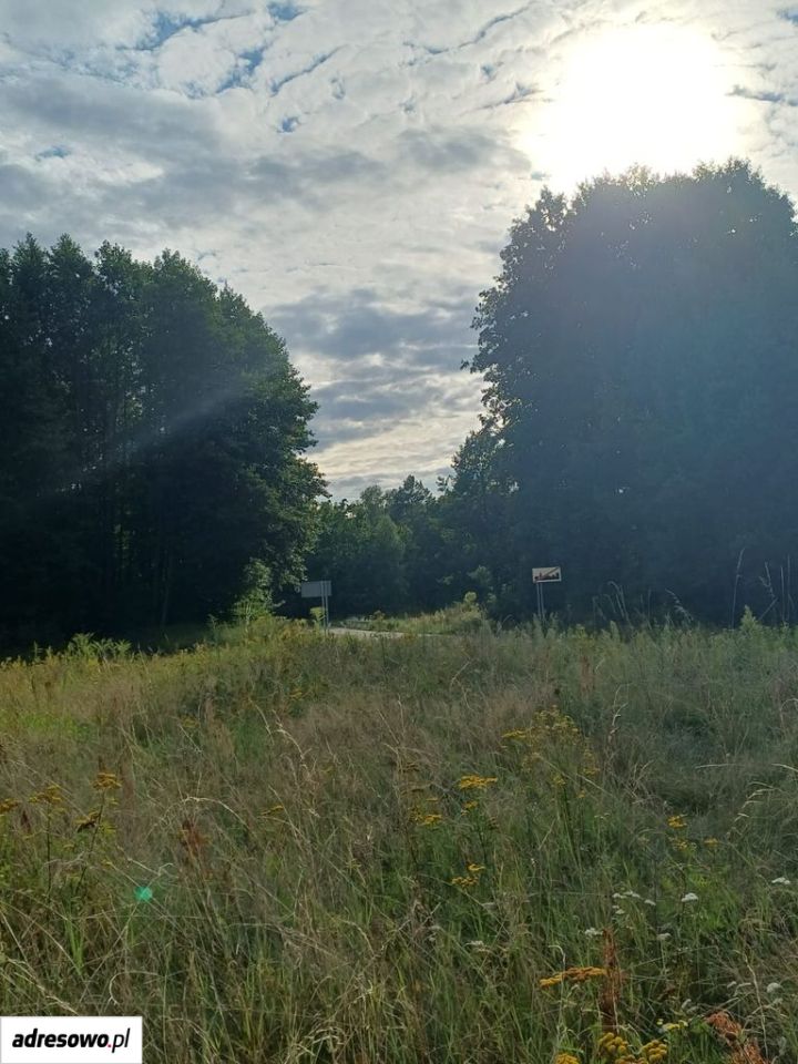 Działka budowlana Piłka. Zdjęcie 5