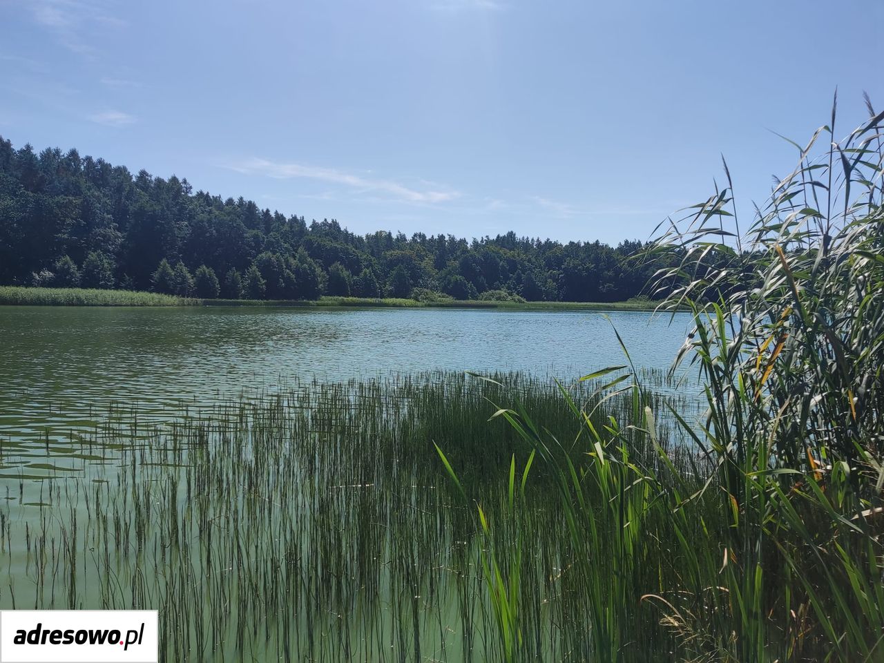 Działka rolno-budowlana Tuchom, ul. Jeziorna. Zdjęcie 17