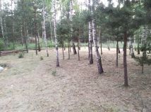 Działka budowlana Brudnów. Zdjęcie 2