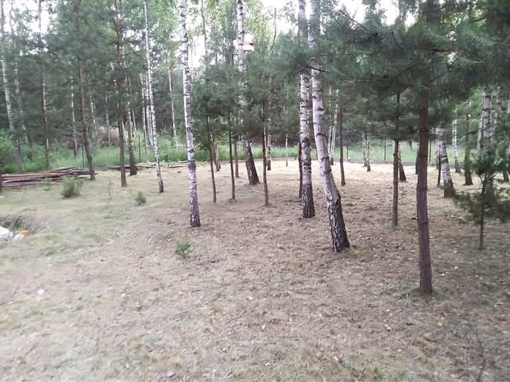 Działka budowlana Brudnów. Zdjęcie 3