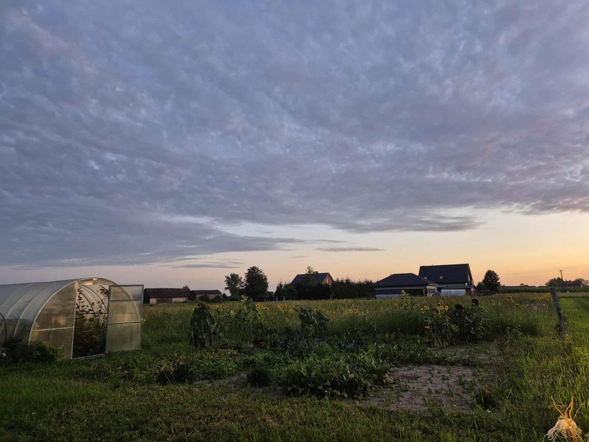 Działka rekreacyjna Golanka. Zdjęcie 10