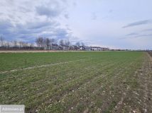 Działka budowlana Michałowice-Wieś. Zdjęcie 2