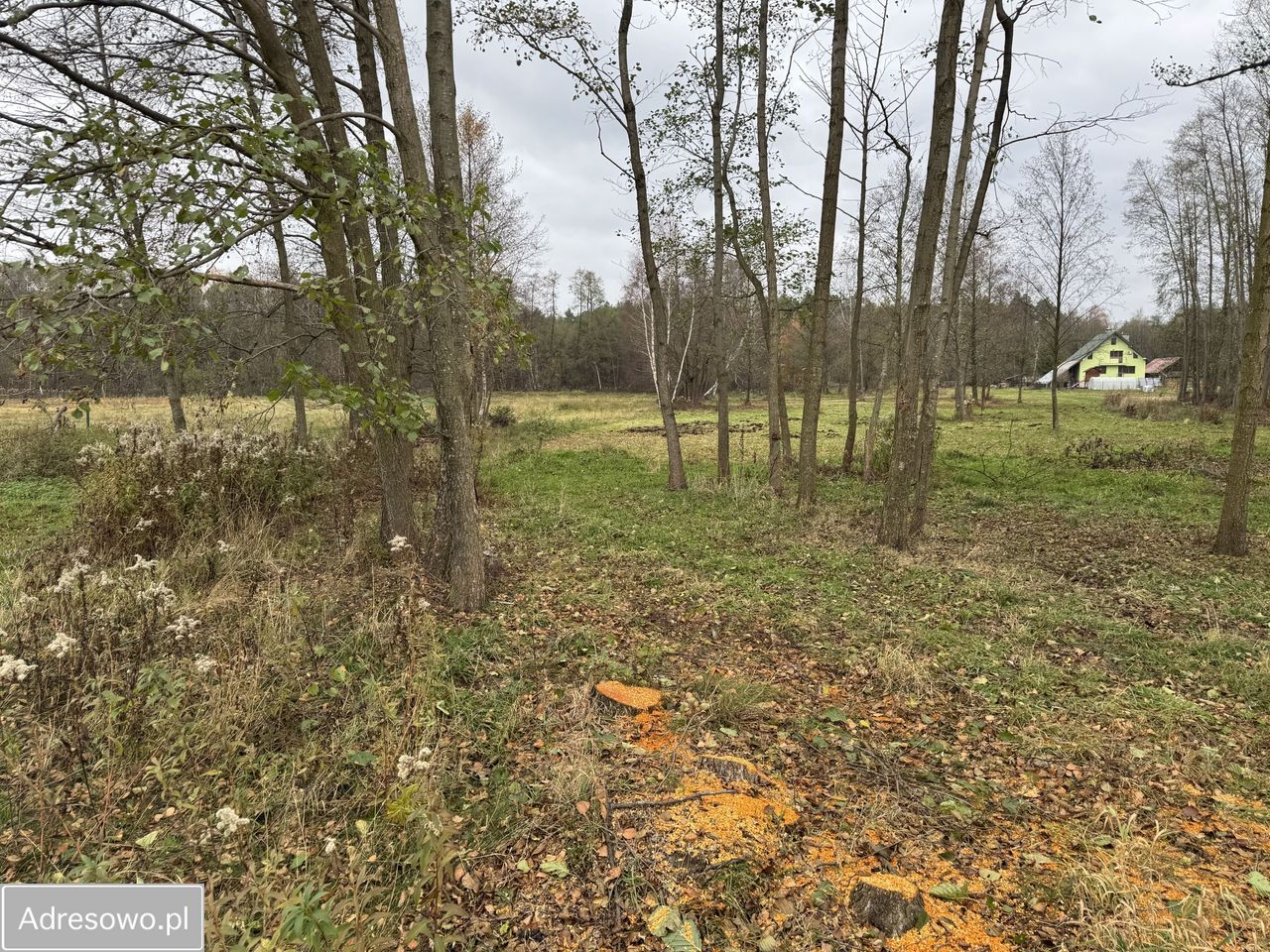 Działka budowlana Smolarzyny. Zdjęcie 4