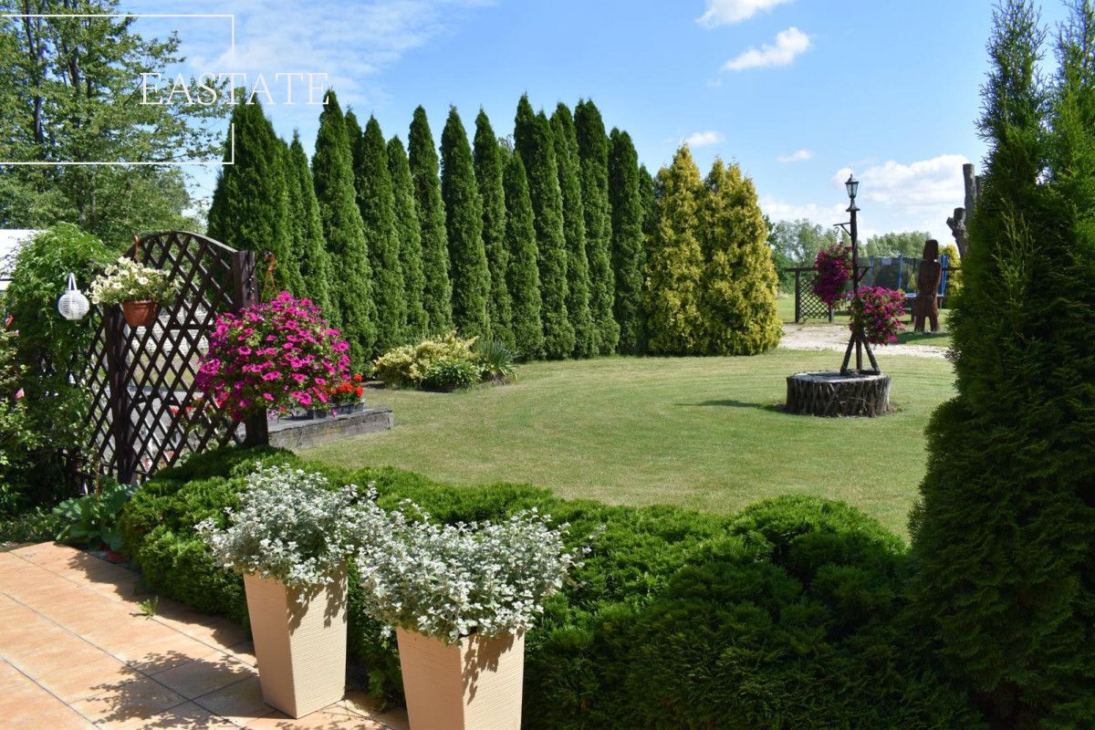 Lokal Dąbrowa. Zdjęcie 7