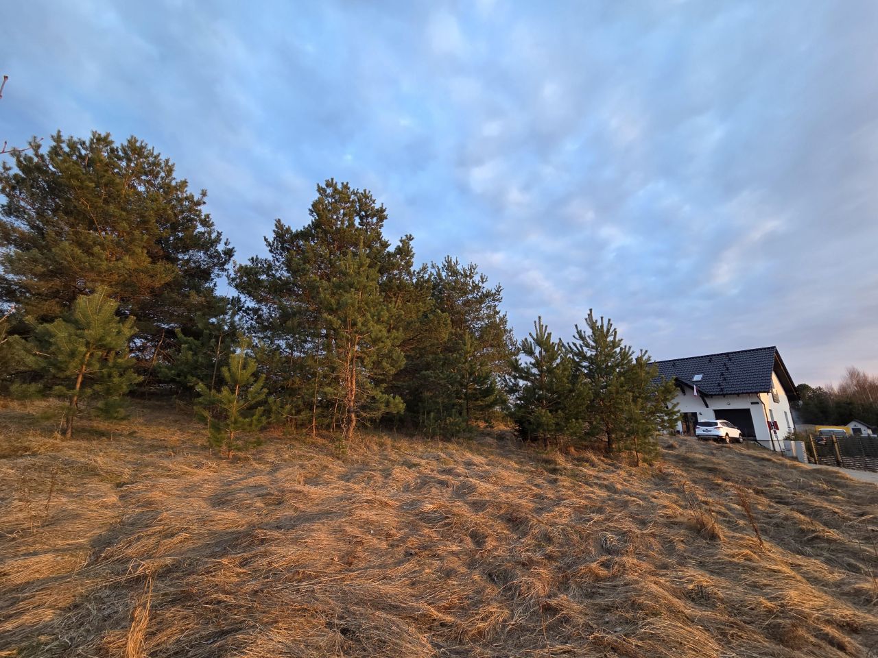 Działka rolno-budowlana Sznurki, Świerkowa. Zdjęcie 5