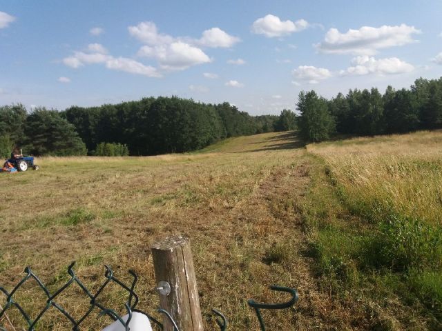 Działka rolno-budowlana Białki Górne. Zdjęcie 1