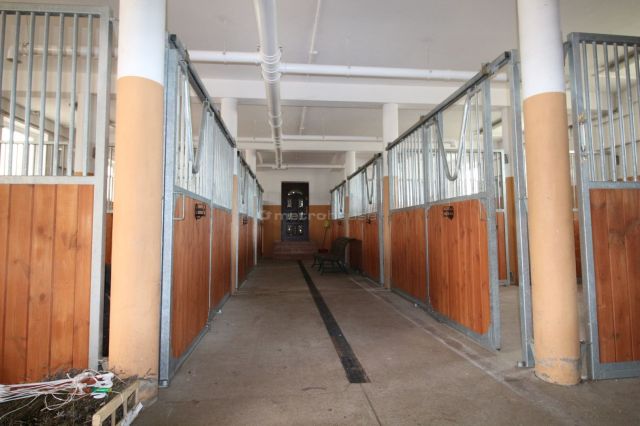 dom wolnostojący, 12 pokoi Przepitki. Zdjęcie 14