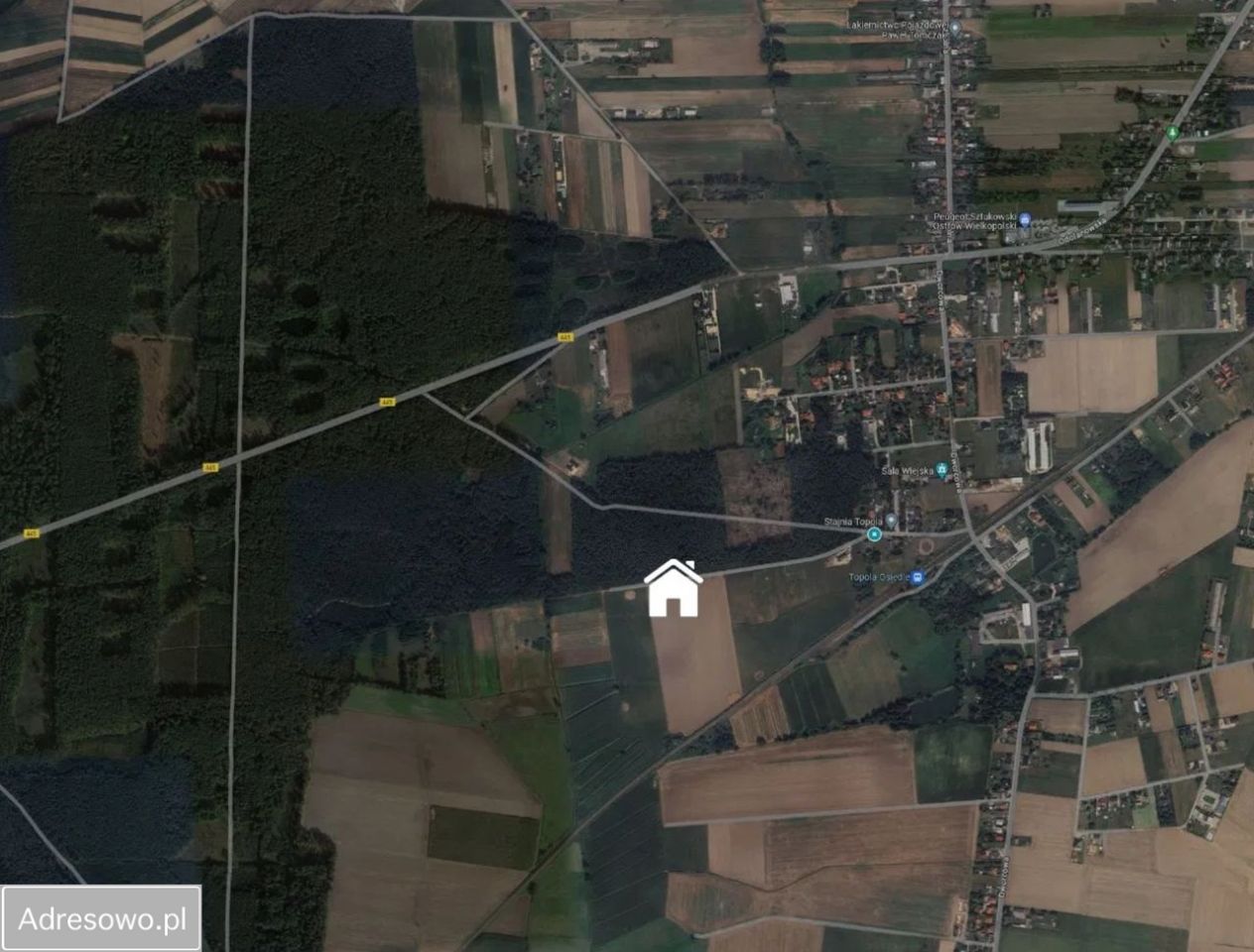 dom wolnostojący, 6 pokoi Topola Wielka, ul. Leśna. Zdjęcie 16