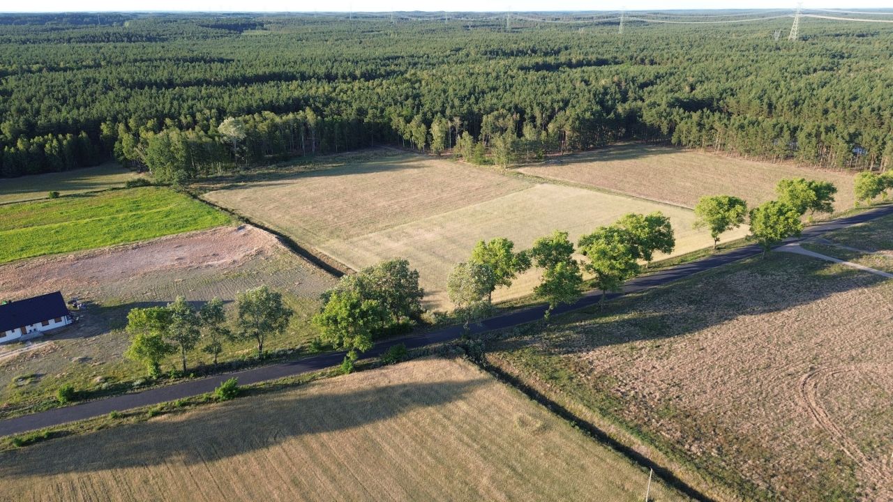 Działka budowlana Dąbrowa Wielka. Zdjęcie 2