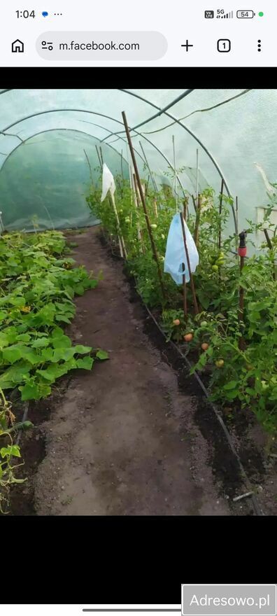 Działka rod Opole. Zdjęcie 7