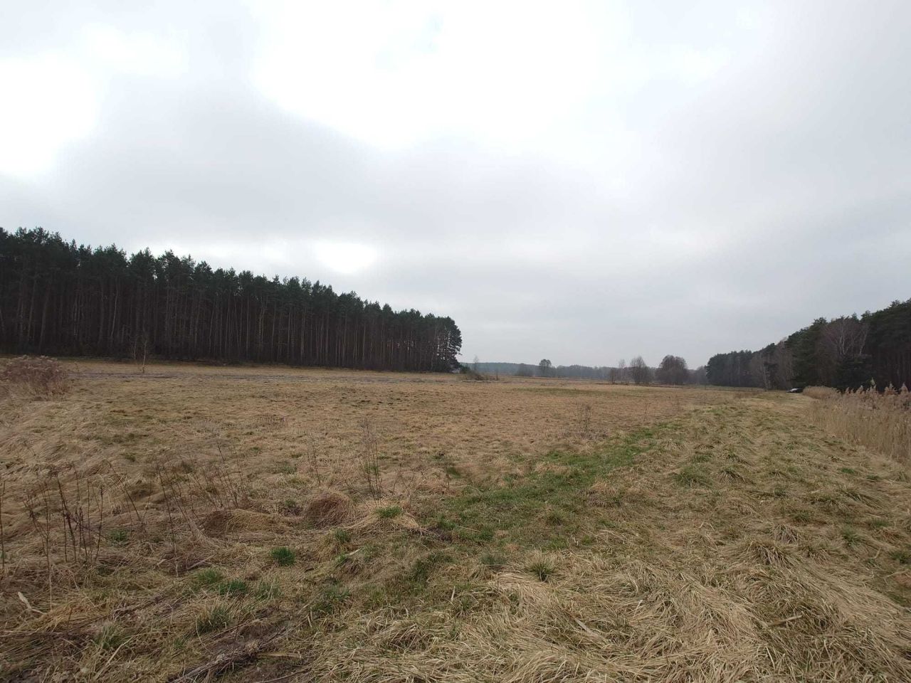 Działka budowlana Nowe Smarchowice. Zdjęcie 5