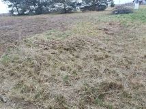 Działka budowlana Masłów. Zdjęcie 3