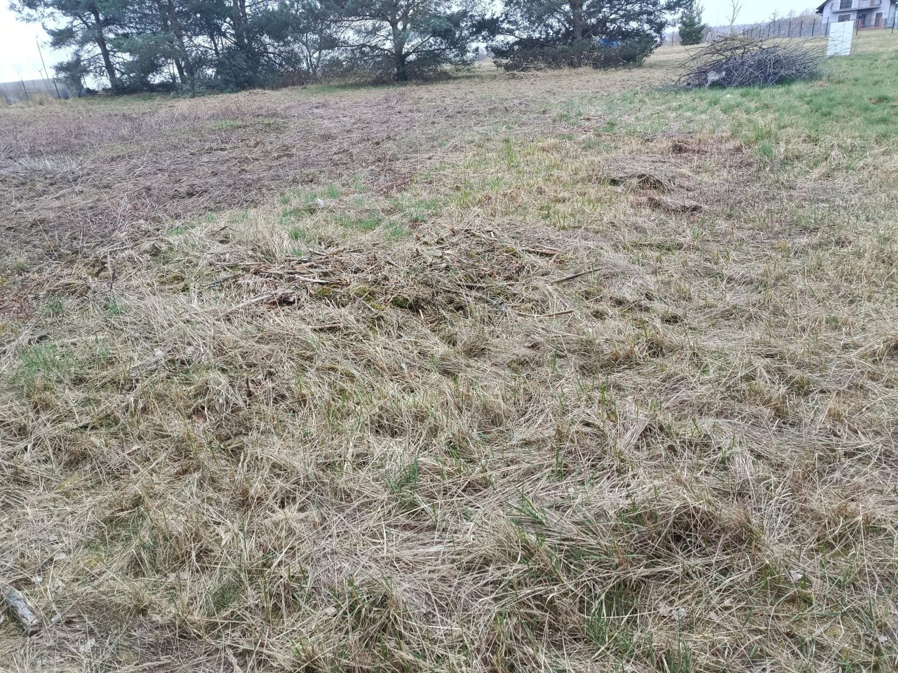 Działka budowlana Masłów. Zdjęcie 4