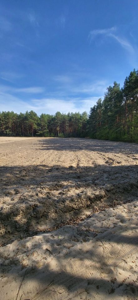 Działka rolno-budowlana Zygmuntowo. Zdjęcie 1