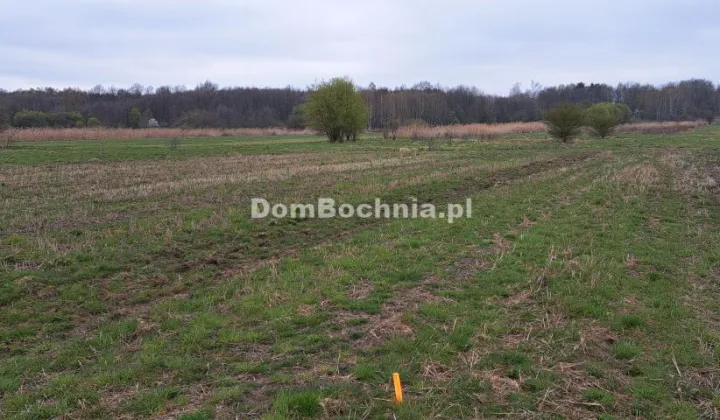 Działka budowlana Jodłówka