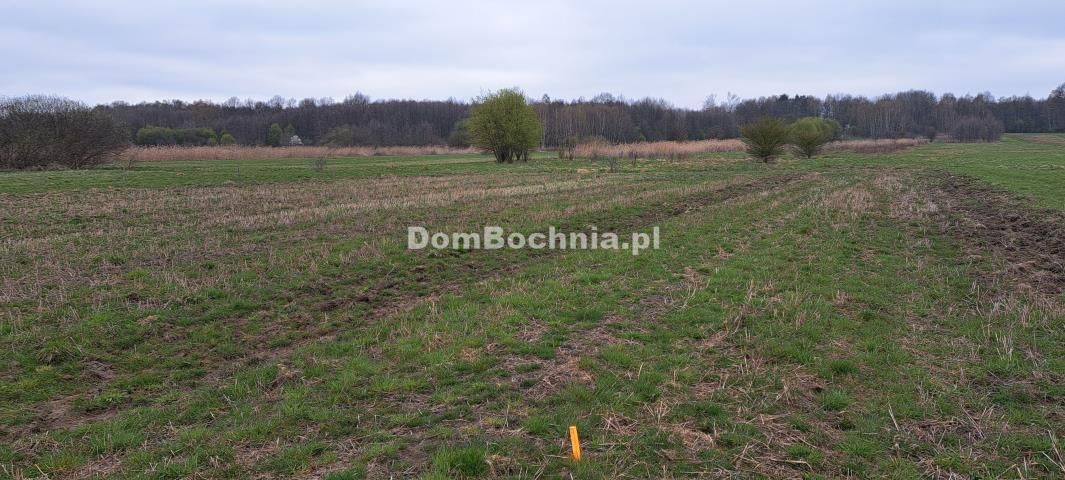 Działka budowlana Jodłówka. Zdjęcie 1