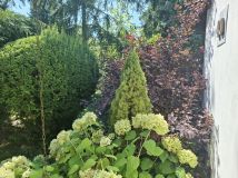 dom letniskowy Murucin. Zdjęcie 3