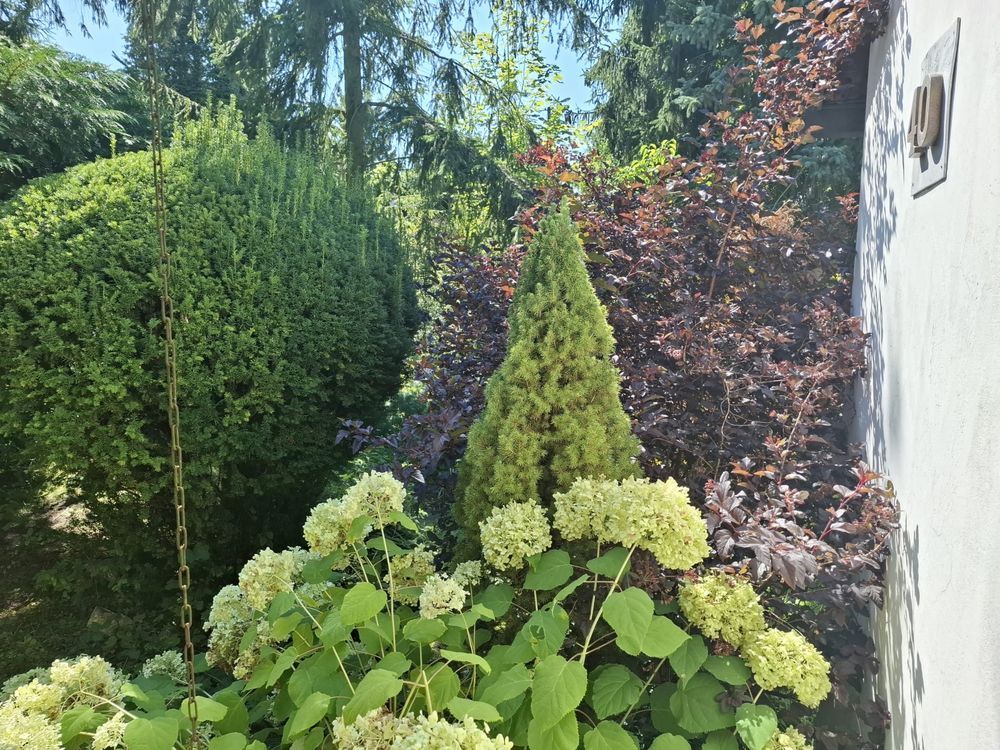 dom letniskowy Murucin. Zdjęcie 4