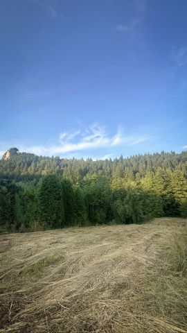 Działka budowlana Szklary. Zdjęcie 1