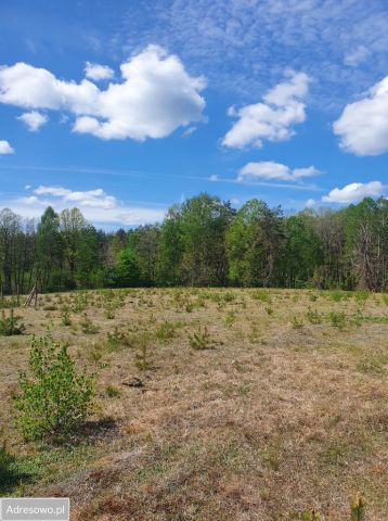Działka budowlana Rekowo. Zdjęcie 1