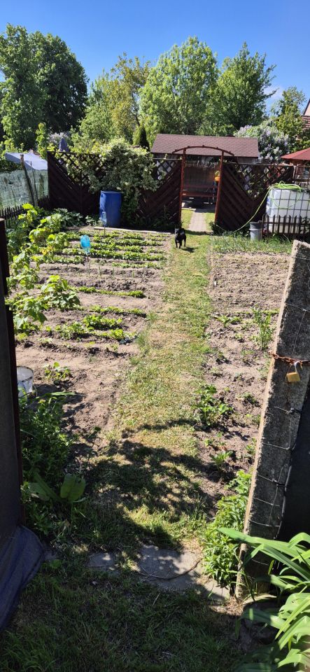 Mieszkanie 3-pokojowe Lubień. Zdjęcie 19