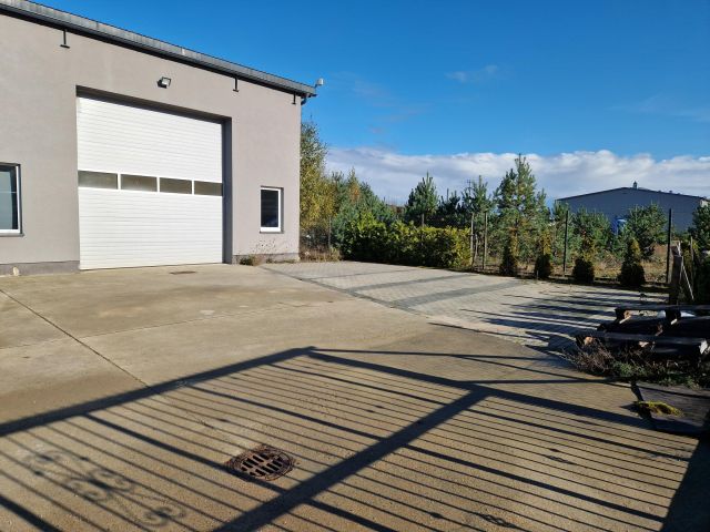 Hala/magazyn Reda Pieleszewo, ul. Zielarzy. Zdjęcie 3