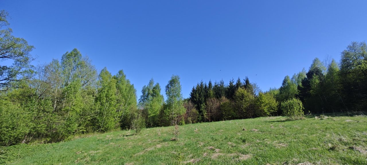 Działka rolna Tyrawa Solna. Zdjęcie 2