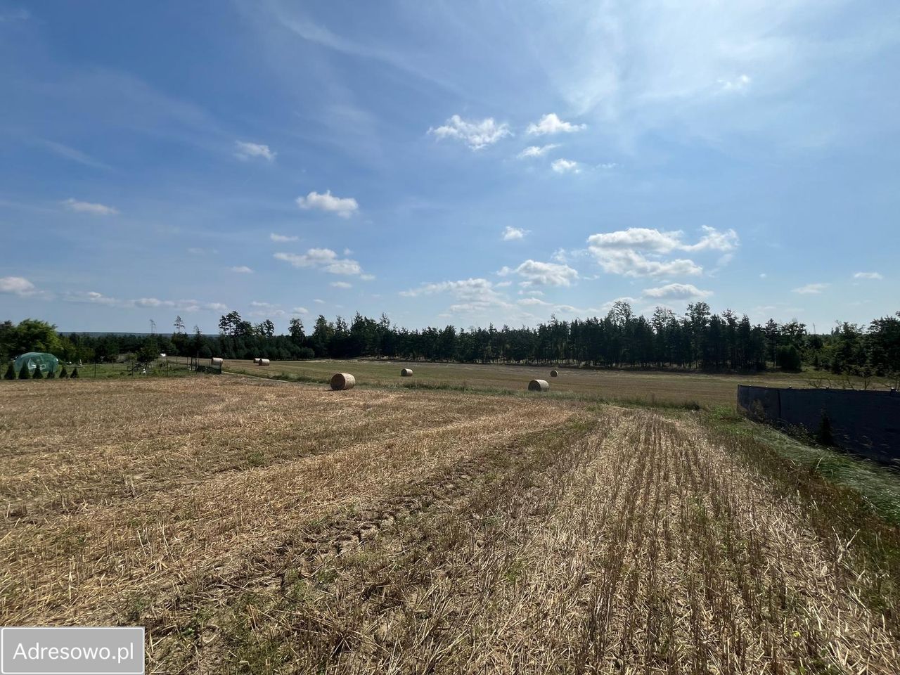 Działka rolno-budowlana Jeziorki. Zdjęcie 9