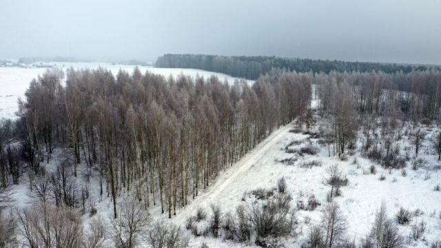 Działka budowlana Harsz. Zdjęcie 5
